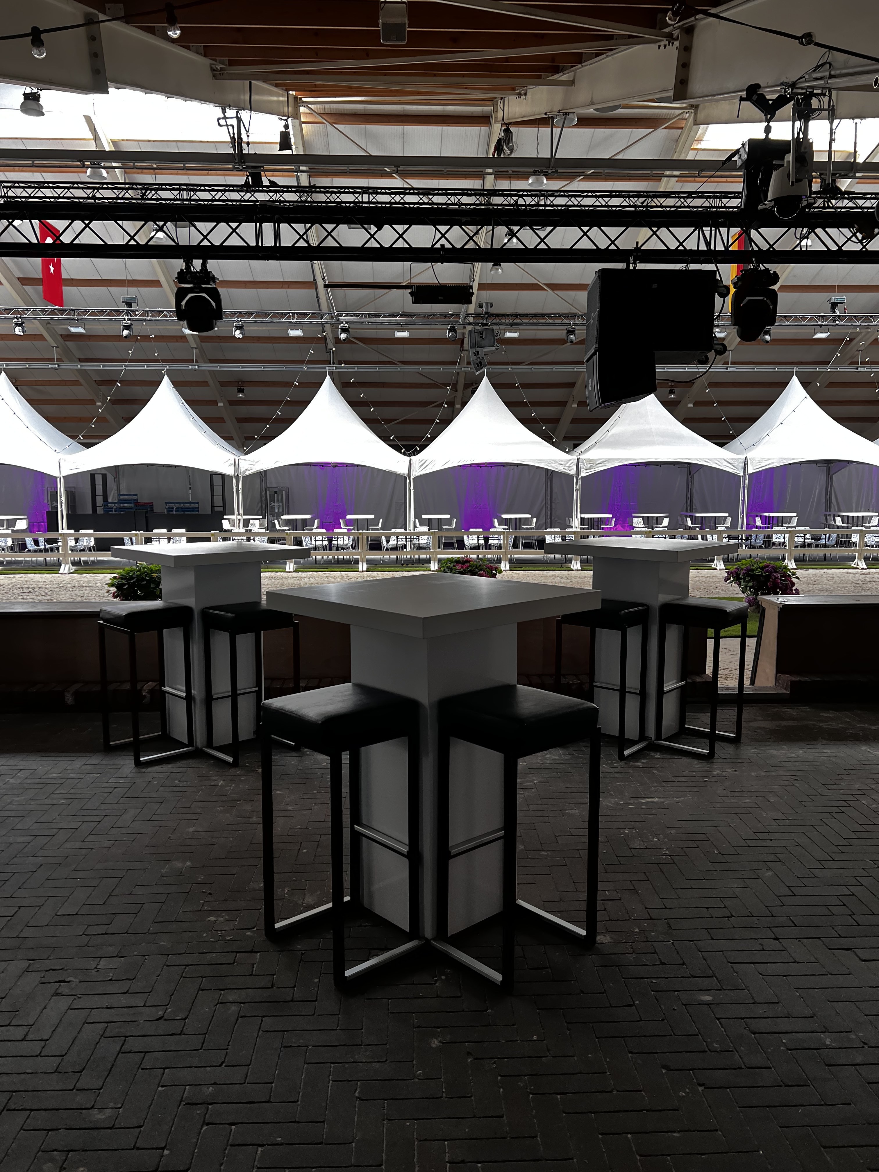 Paardenveiling in Kronenburg: Een Stijlvol Evenement met Gehuurde Meubels