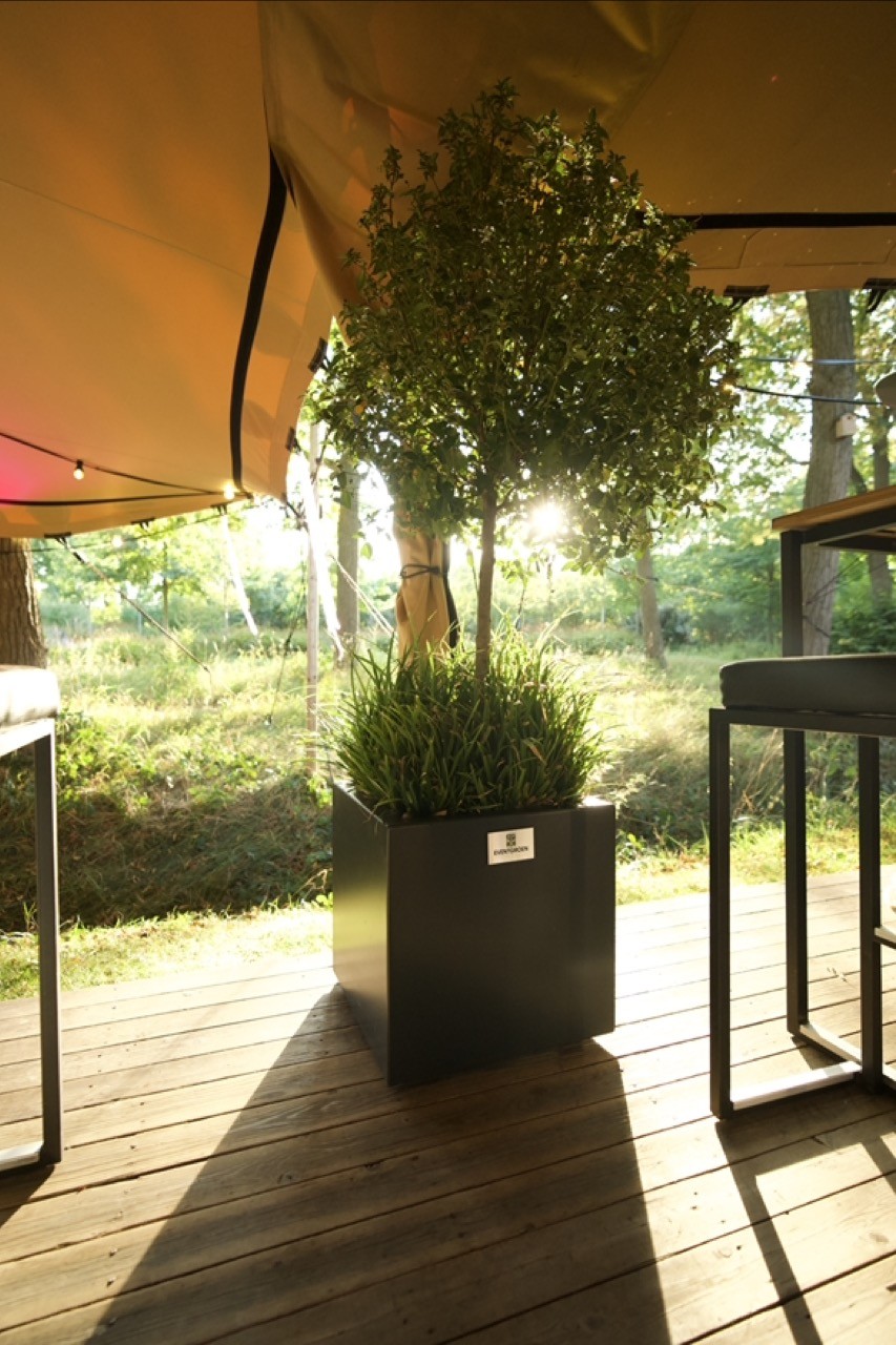 Inspiratie afbeelding